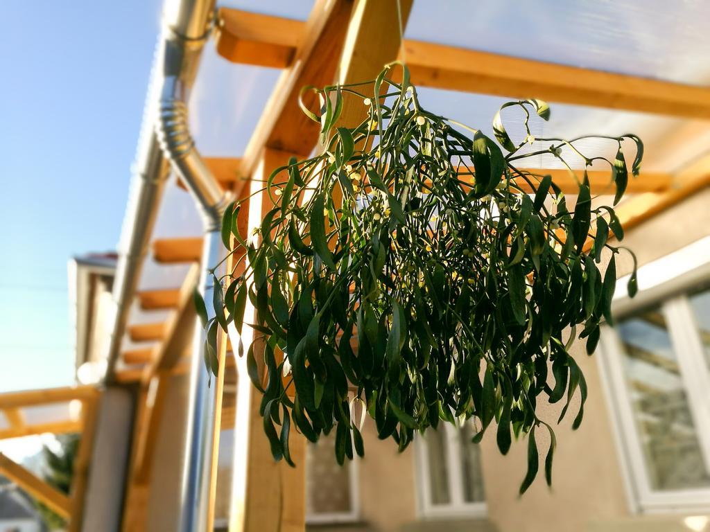 דירות Sárvár Fagyoengy מראה חיצוני תמונה